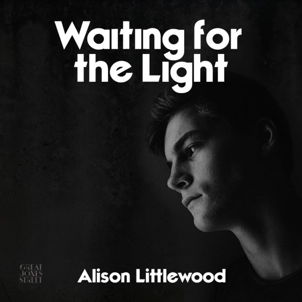 waiting-for-the-light-alison-littlewood_v1aa