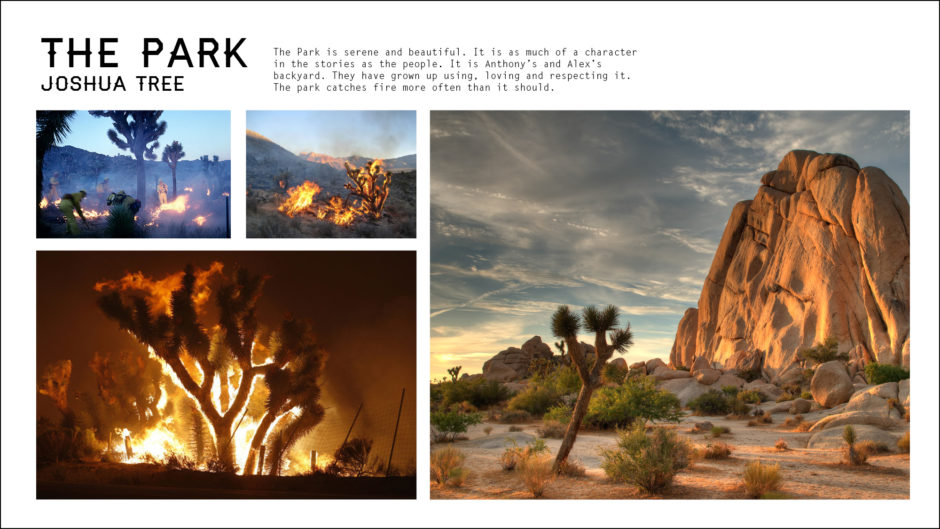 Joshua Tree national park on fire